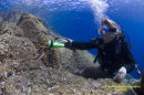 Diver and Wrasse